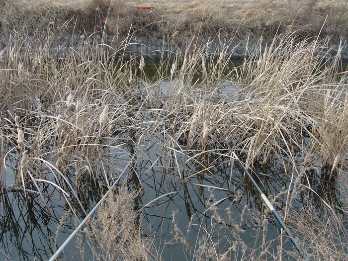 47c81b278976c&filename=2009-01-02-28-104