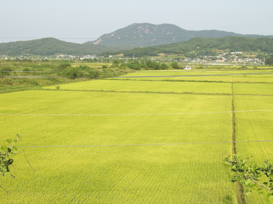 홍성한우타운 이미지
