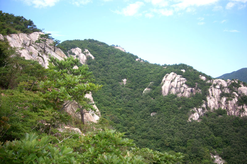 산행기 - ♧ 밀양 백운산 (경남 밀양) 가지산의 앞가슴 암산