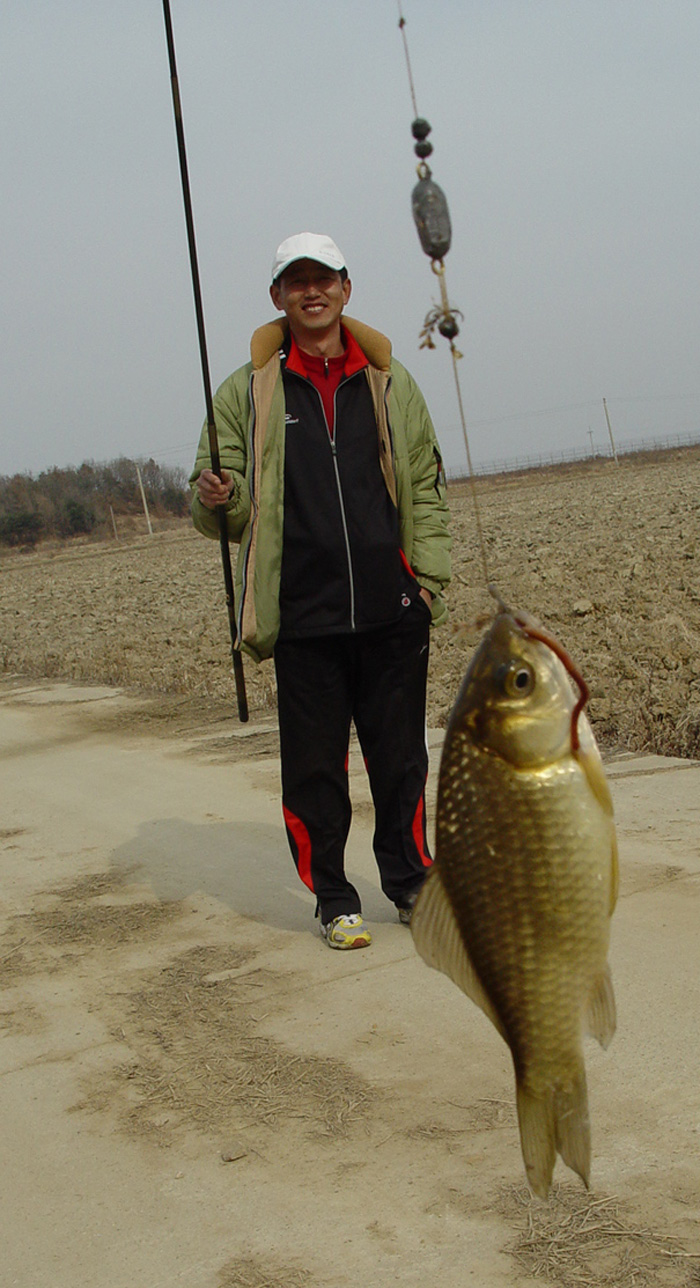47c81aed71b22&filename=2009-01-02-28-085