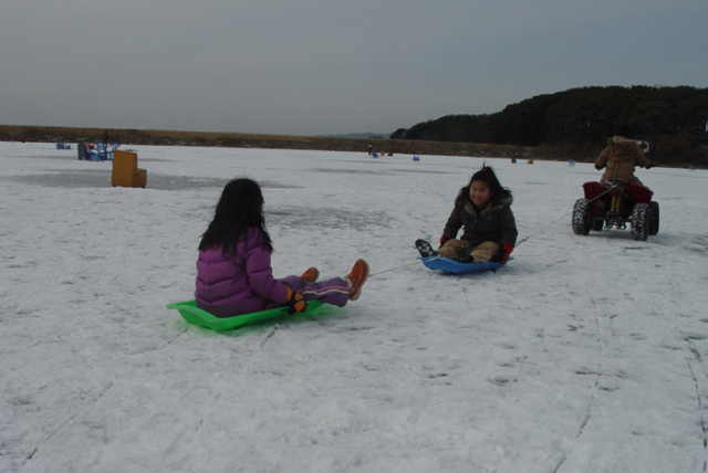 47afc340dc062&filename=2009-01-02-05