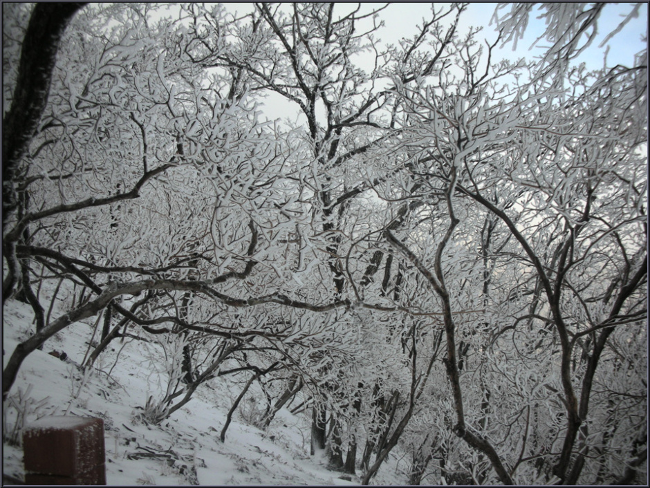 478eace7abea1&filename=가지산017.jpg