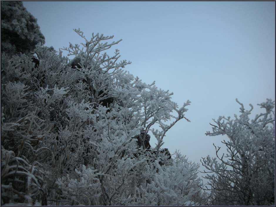 478ead0ee1b78&filename=가지산029.jpg