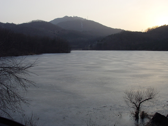 47c81b8d7bdfd&filename=2009-01-02-28-105