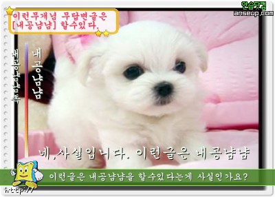 얌얌 이미지