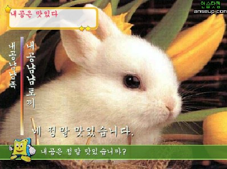 얌얌 이미지