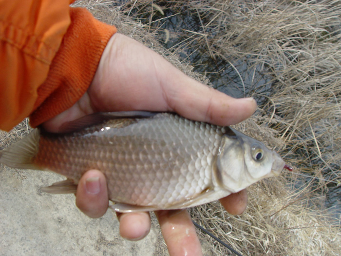 47c81b0d95e83&filename=2009-01-02-28-097