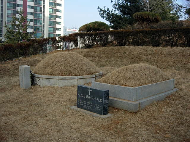 묘 이미지