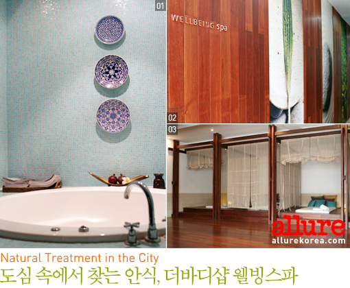 더웰빙 이미지