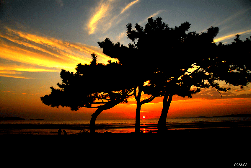 46fa6daaadc50&filename=DSC_7932wo.gif