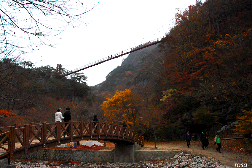 4737cad463957&filename=DSC_9394wo.gif