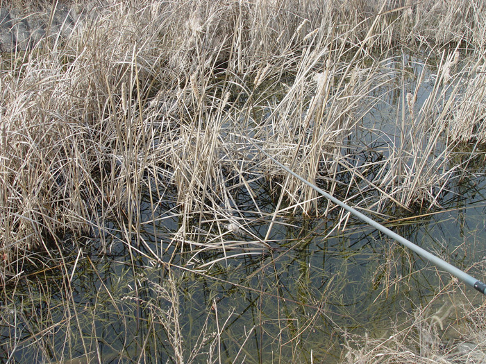 47c81ae5889f2&filename=2009-01-02-28-081