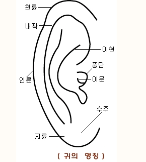 4704e4077596f&filename=사용자%20지정%201.jpg