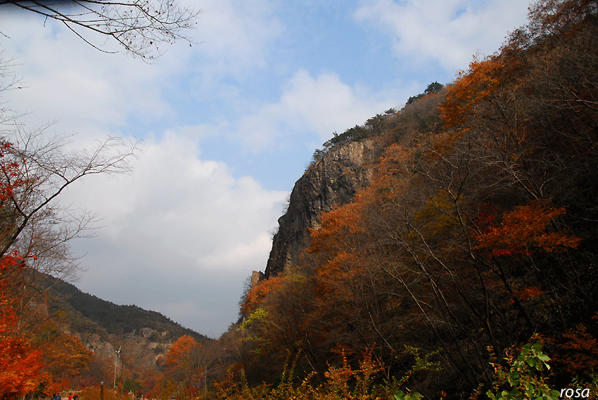 4737cb43b3831&filename=DSC_9462wo.gif