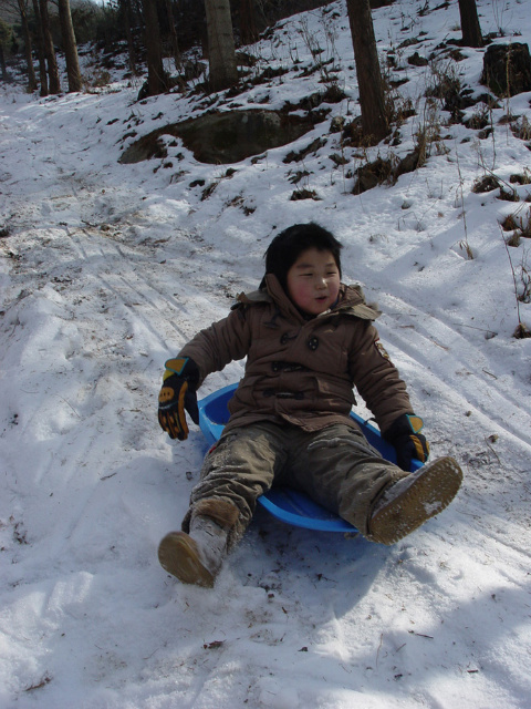 47afc3563194c&filename=2009-01-02-05