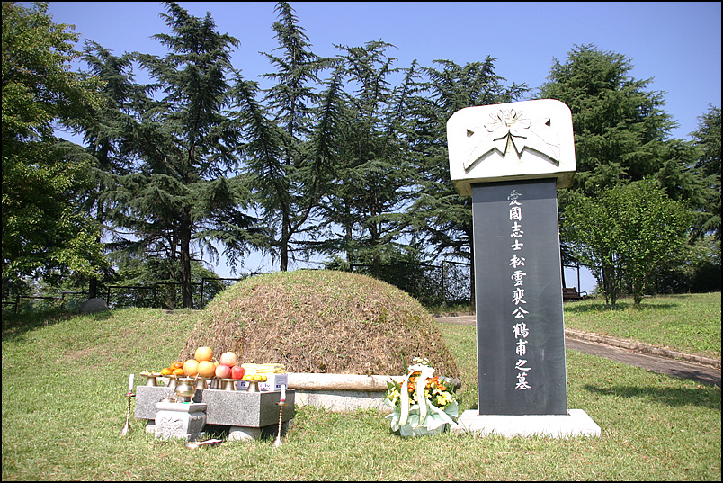 배선생 이미지