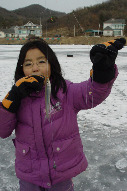 47afc38337047&filename=2009-01-02-05