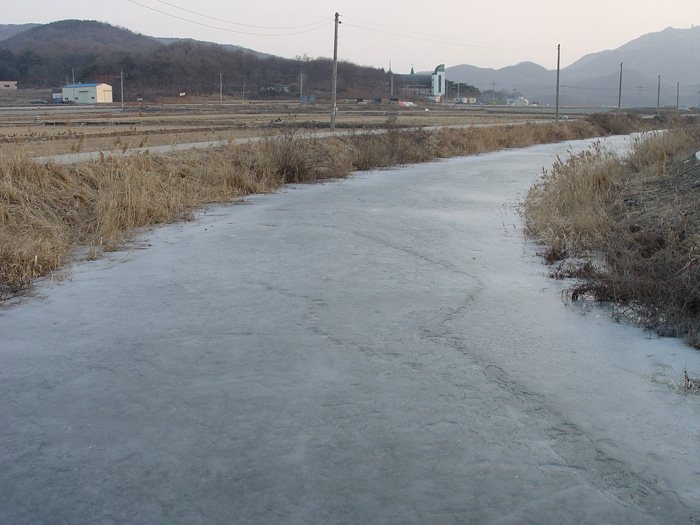 47c81b9010a01&filename=2009-01-02-28-106