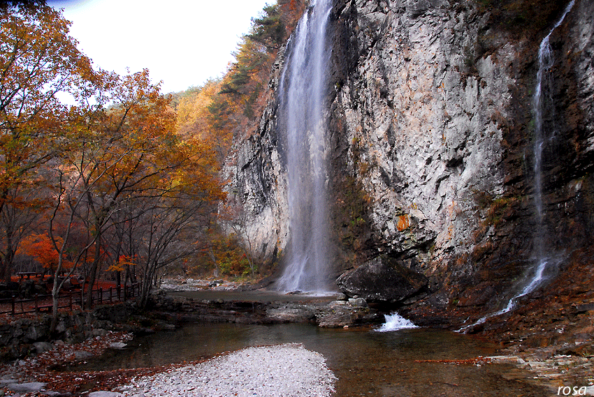 4737ca1b46c2d&filename=DSC_9337wo.gif