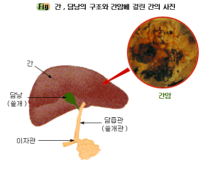http://m.blog.daum.net/dain0477/3416626?categoryId=209249 Daum 블로그