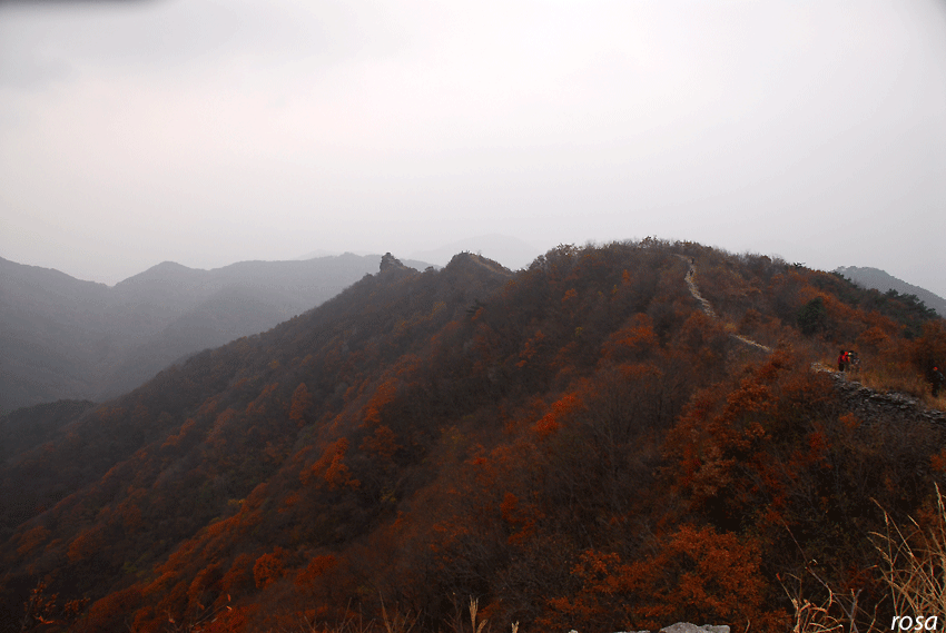4737cb0123352&filename=DSC_9418wo.gif