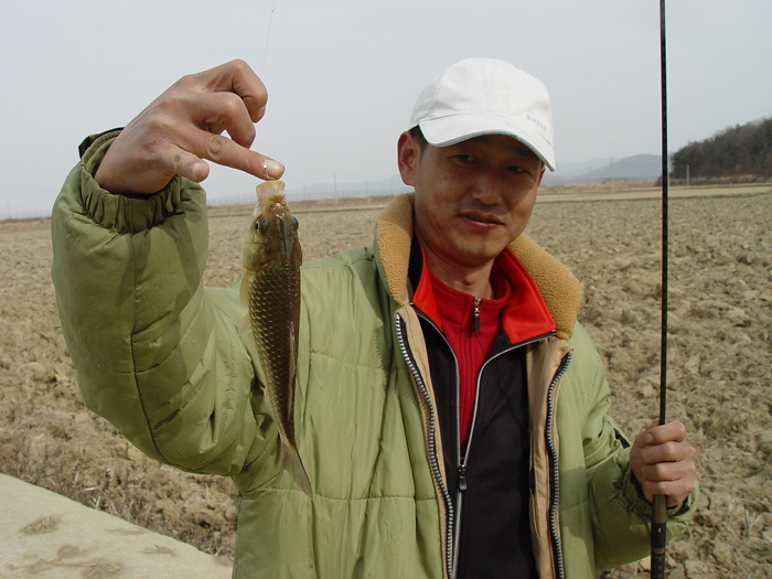 47c81b0aa6d5a&filename=2009-01-02-28-096