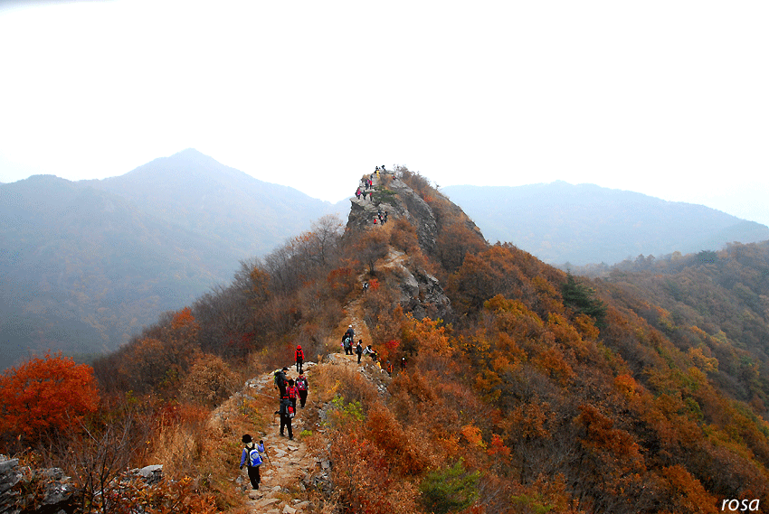 4737cb1bbac72&filename=DSC_9424wo.gif