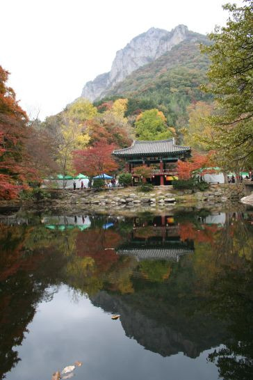 백양사 이미지