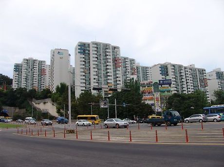 동호카센타 이미지