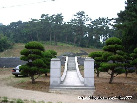 금계포란 이미지