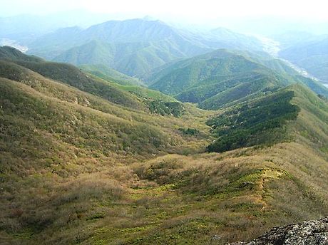 태백안동축산 이미지