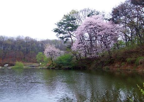 밧줄 이미지