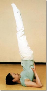 물구나무 이미지