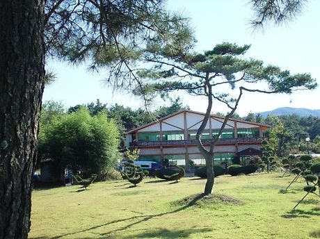로뎀식당 이미지
