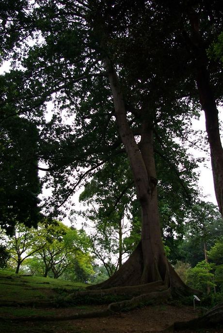 선영이네 이미지