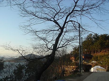 강산농원 이미지