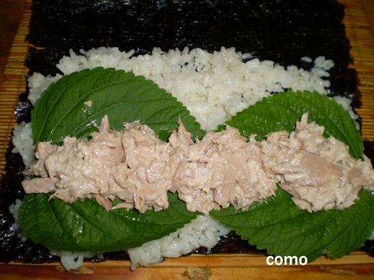 만참치 이미지