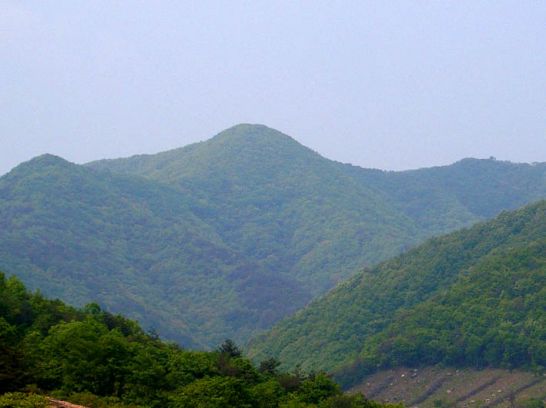 천년가요 이미지