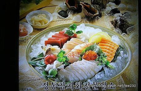 대선참치 이미지
